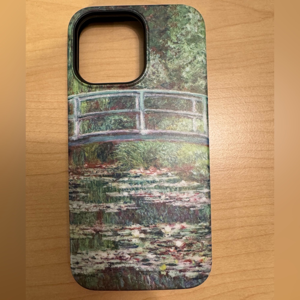 COPY - Casely iPhone 15 Pro Max Bold Case